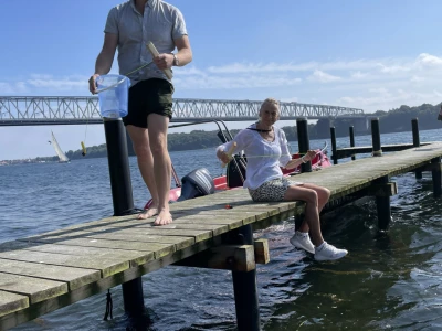 Lillebælt Challenge – teambuilding med natur, viden og samarbejde - Billede 2