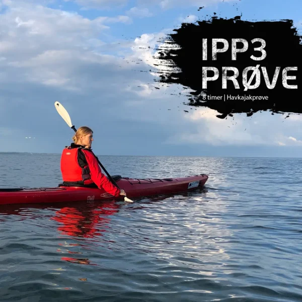 Prøve til IPP3