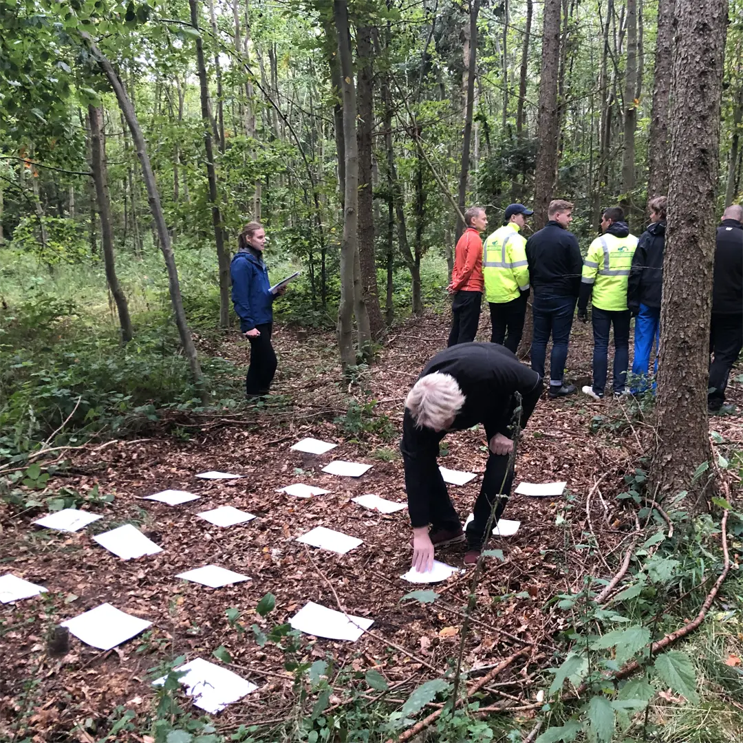 Teambuilding Lillebælt